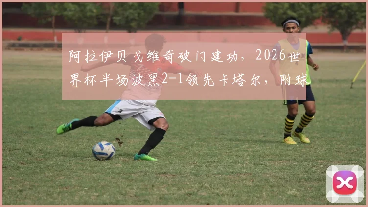 阿拉伊贝戈维奇破门建功，2026世界杯半场波黑2-1领先卡塔尔，附球员技术分析与战局解读