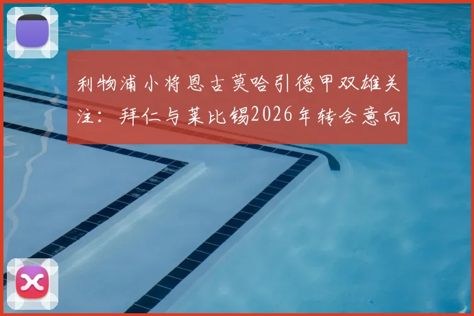 利物浦小将恩古莫哈引德甲双雄关注:拜仁与莱比锡2026年转会意向分析及球员前景解读