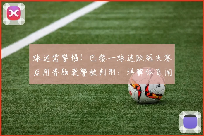 球迷需警惕！巴黎一球迷欧冠决赛后用香肠袭警被判刑，详解体育闹事法律后果