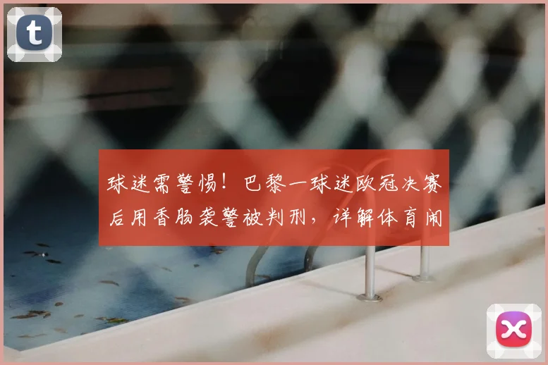 球迷需警惕!巴黎一球迷欧冠决赛后用香肠袭警被判刑,详解体育闹事法律后果